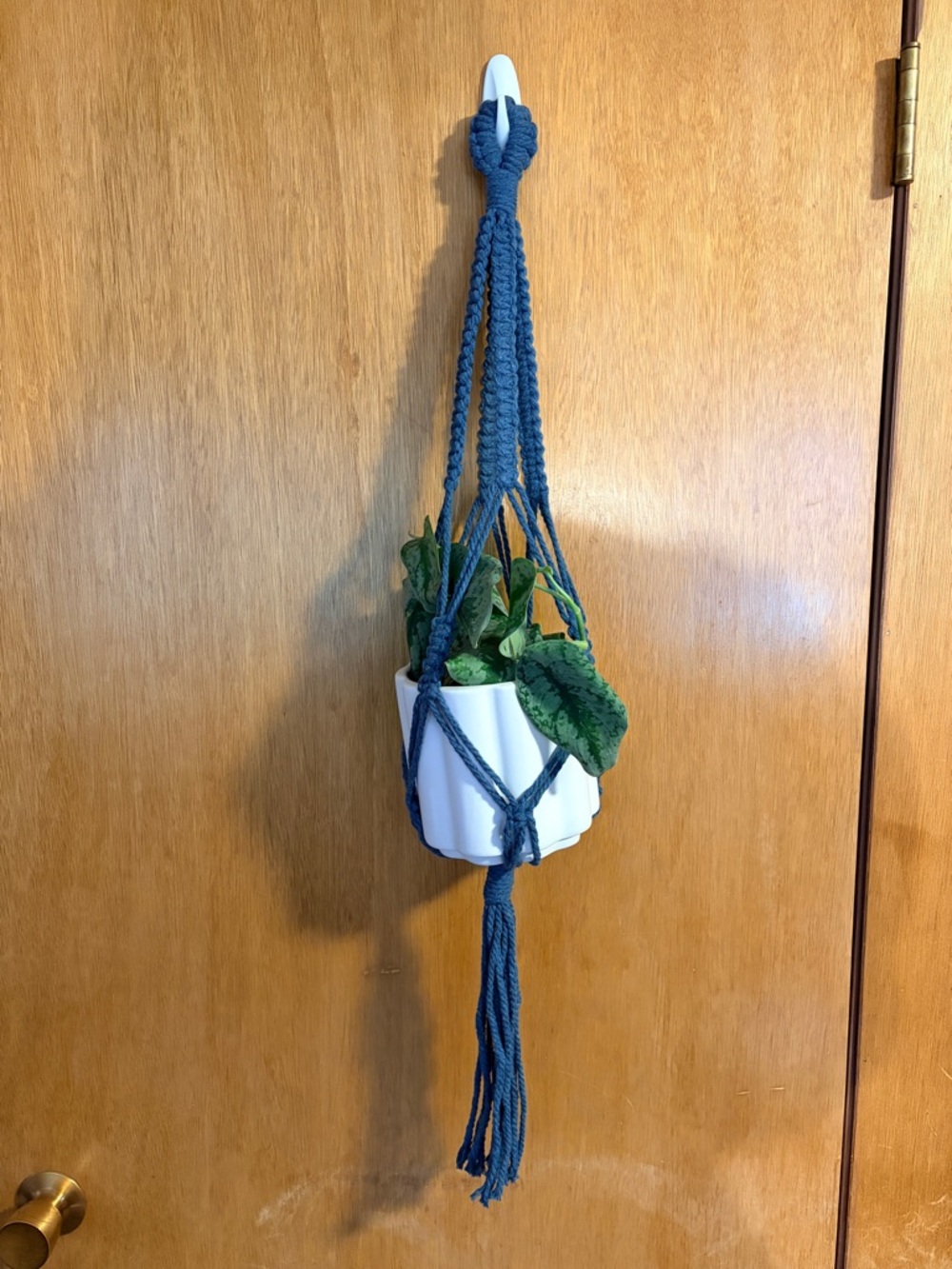 Handmade Macrame Plant Hanger. PLANT AND POT NOT INCLUDED.